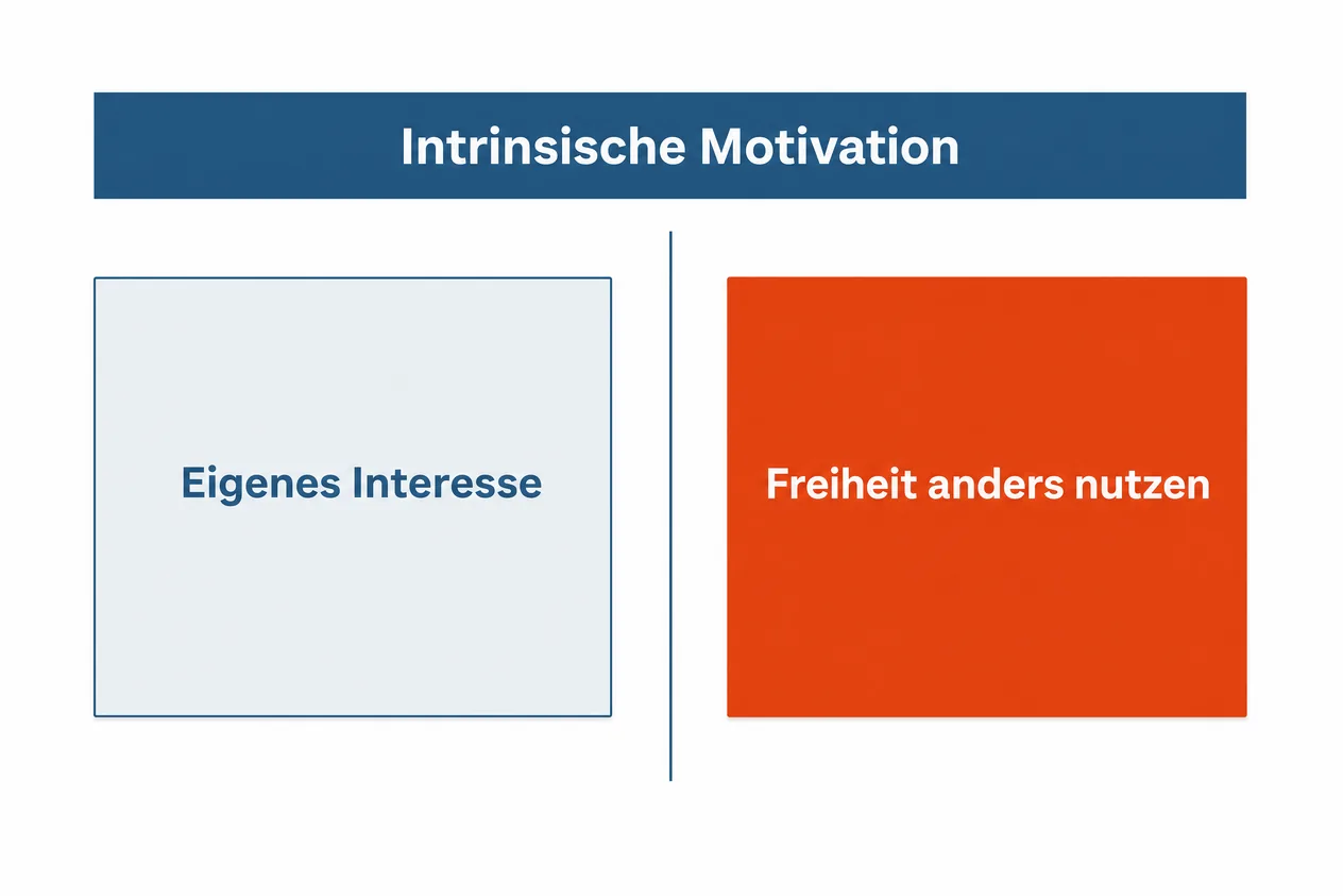 Zweigeteiltes Schaubild zur intrinsischen Motivation mit den Seiten eigenes Interesse und Freiheit anders nutzen